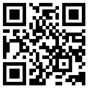 the qr code